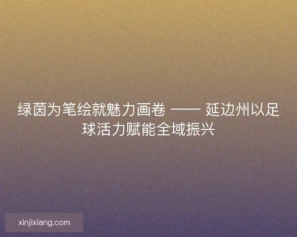 绿茵为笔绘就魅力画卷 —— 延边州以足球活力赋能全域振兴
